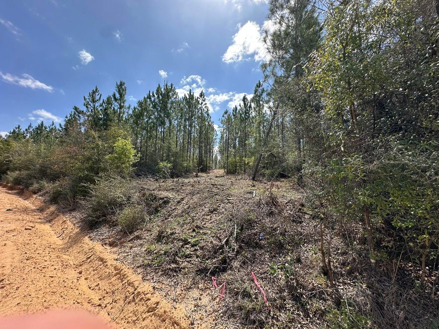 Fresh opportunity to own a versatile 14+/- acre tract suited for recreation, outdoor enjoyment, or a private hunting retreat. The property features young planted pines and a layout that supports a variety of uses. Bring your horses, ATVs, and hunting gear--there's plenty of room to make it your own. Access is available to I-10, Hwy 79, Hwy 90, and the Panama City beaches. Additional land available.Highschool is Vernon