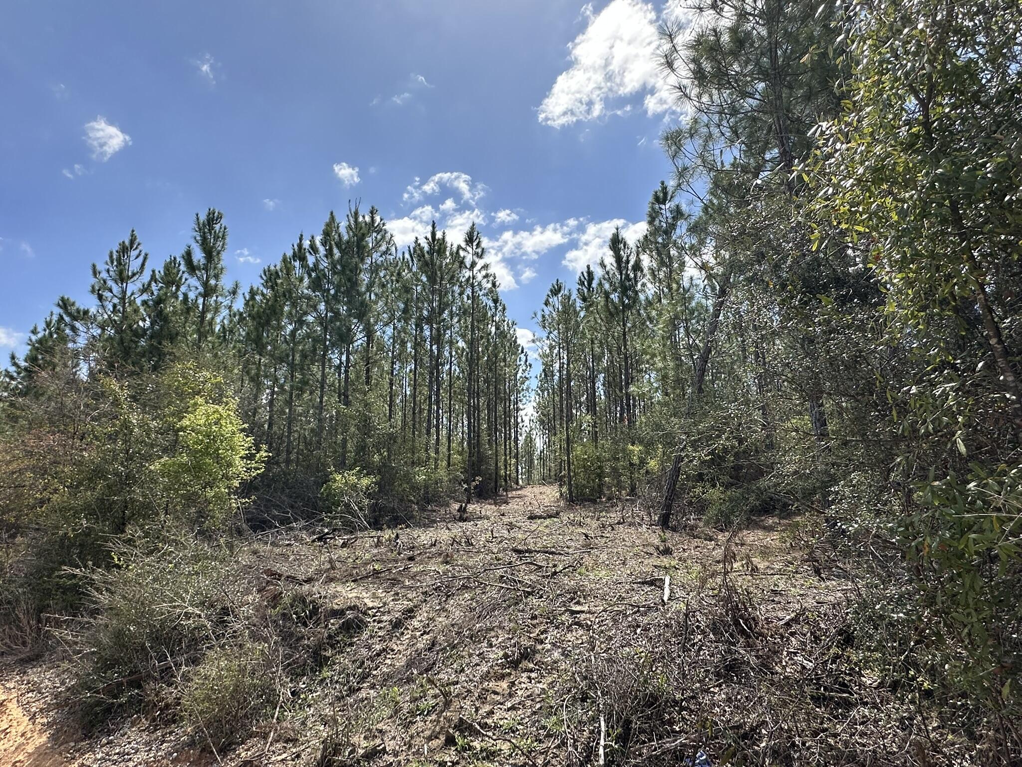 METES & BOUNDS - Land