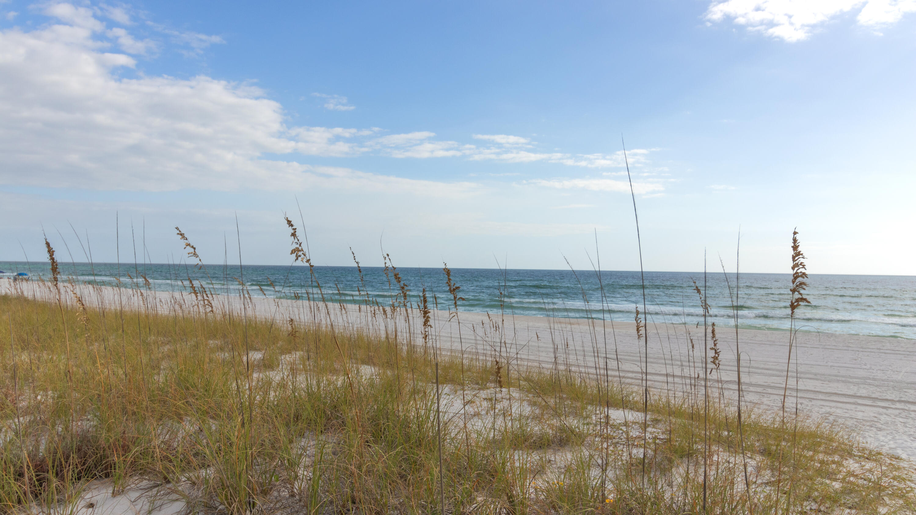 SANTA MONICA BEACH - Residential