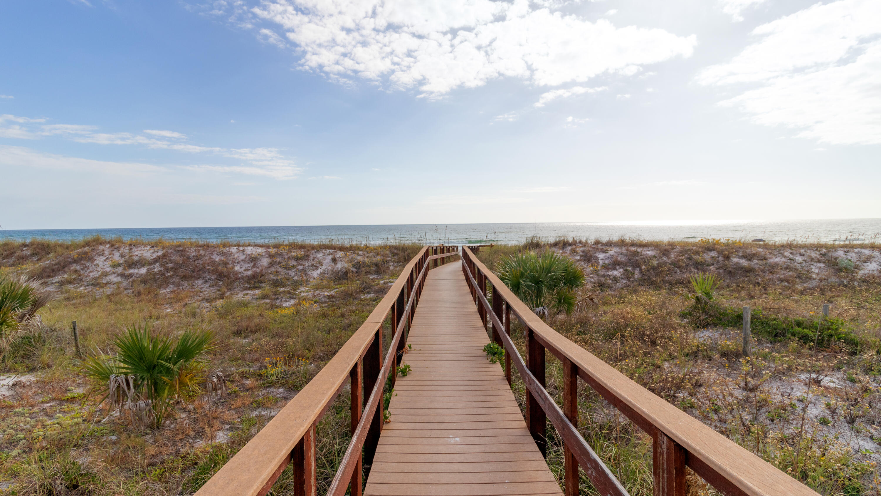 SANTA MONICA BEACH - Residential