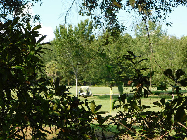 FOXWOOD ESTATES 1 - Residential