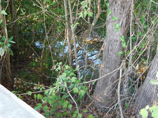 FOXWOOD ESTATES 1 - Residential