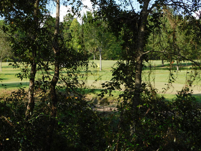 FOXWOOD ESTATES 1 - Residential