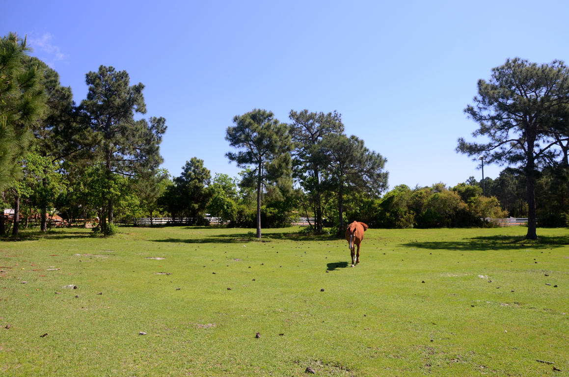 KELLY PLANTATION S/D PH 2 - Land