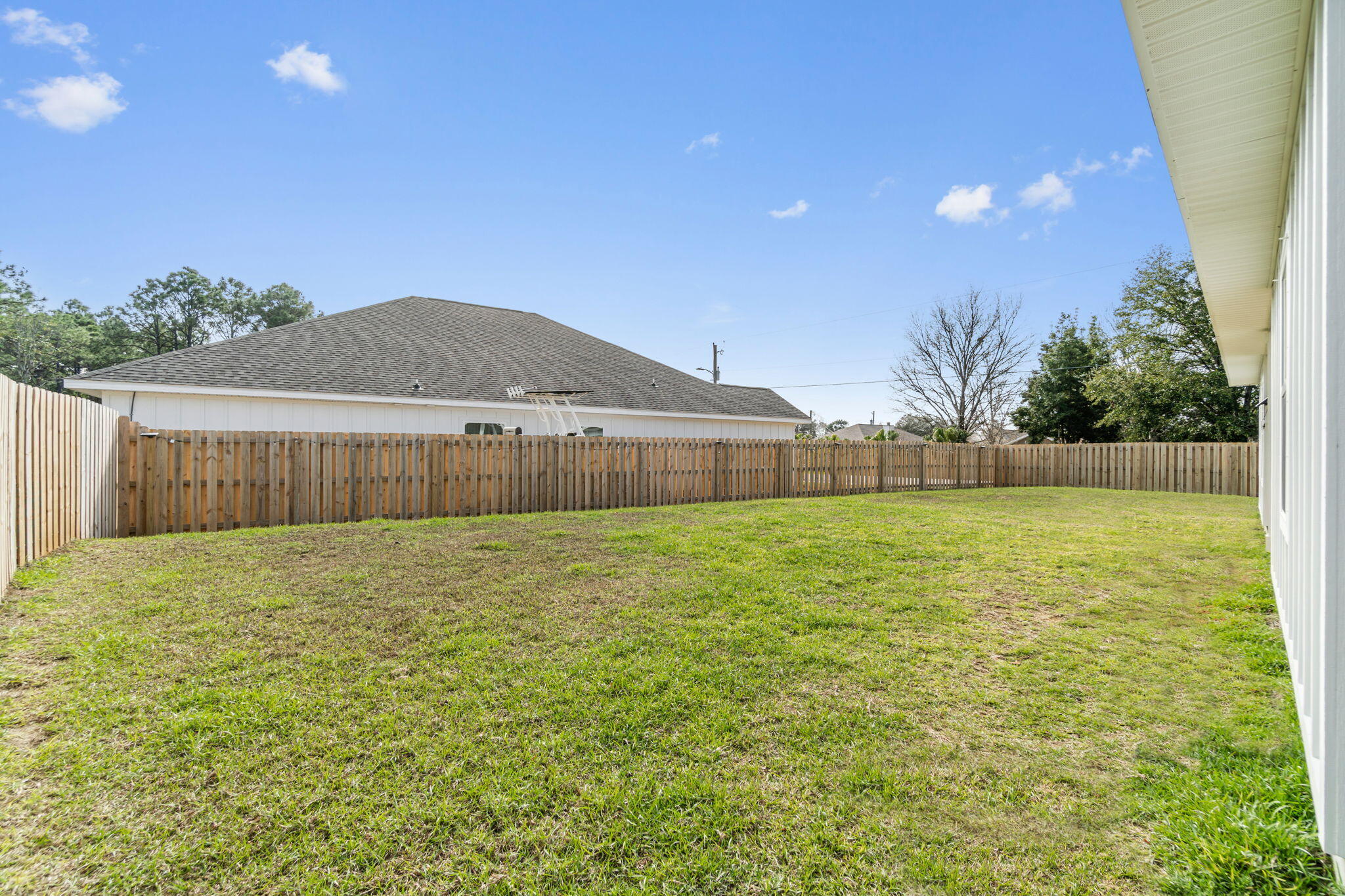 Water Leaf - Residential