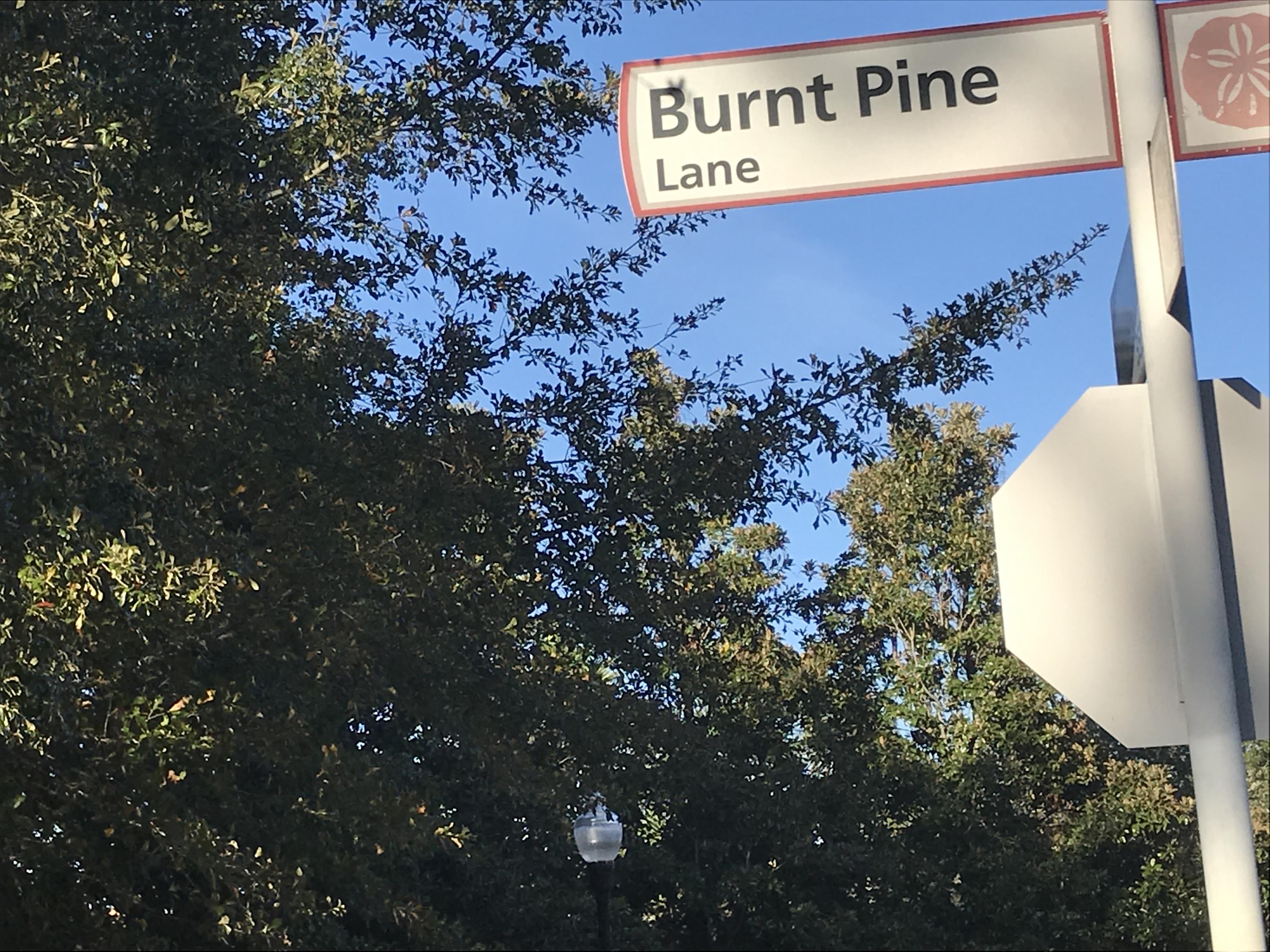 BURNT PINE - Land