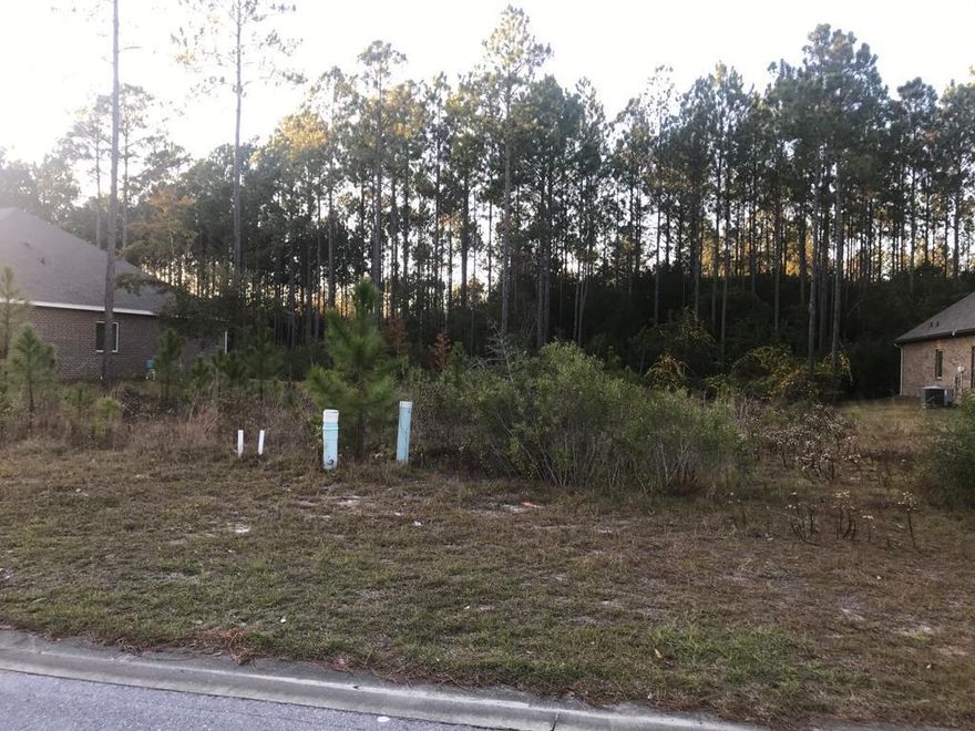 Beautiful lot priced to sell in Symphony! Mostly cleared, backs up to preserve, CDD fee paid in full! Symphony is a quick bike ride/walk to club house, pool, basketball/pickleball/tennis courts, gym and the general store.Hammock Bay is an amenity-rich community complete with a 6000 sq ft clubhouse with movie theatre, 4000 sq ft fitness center stocked with Body Master selectorized machines and Life Fitness cardio equipment with TV's, a 25 meter lap pool and a resort-style pool, lighted tennis, pickle ball and basketball courts, putting green, $250,000 playground, 60-acre sports/recreation park, a network of nature trails and sidewalks and has recently added The General Store for shopping convenience. Canine Commons, a spacious pet park, caters to our