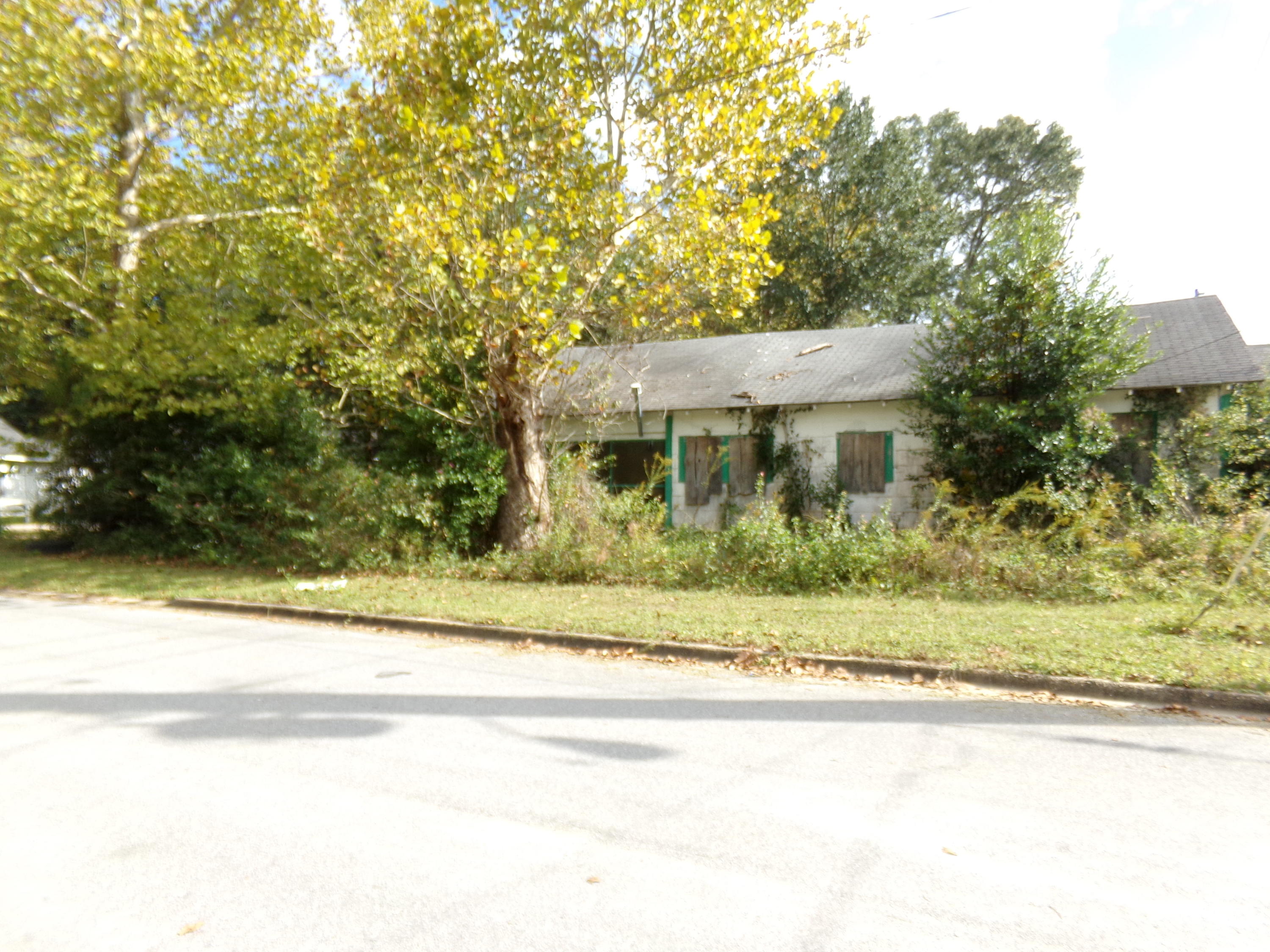 Main image without alt text