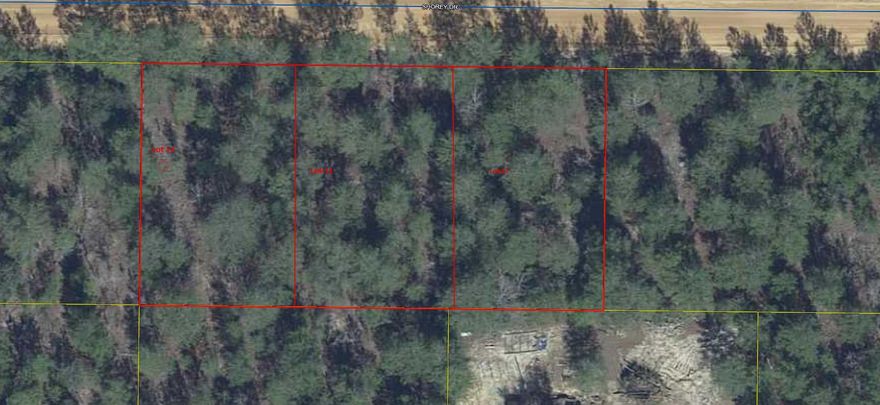 Nice level lots near to I-10 Exit at Mossy Head Community and Hwy 85.  City water available.  Septic tank required. Lot is level and wooded.