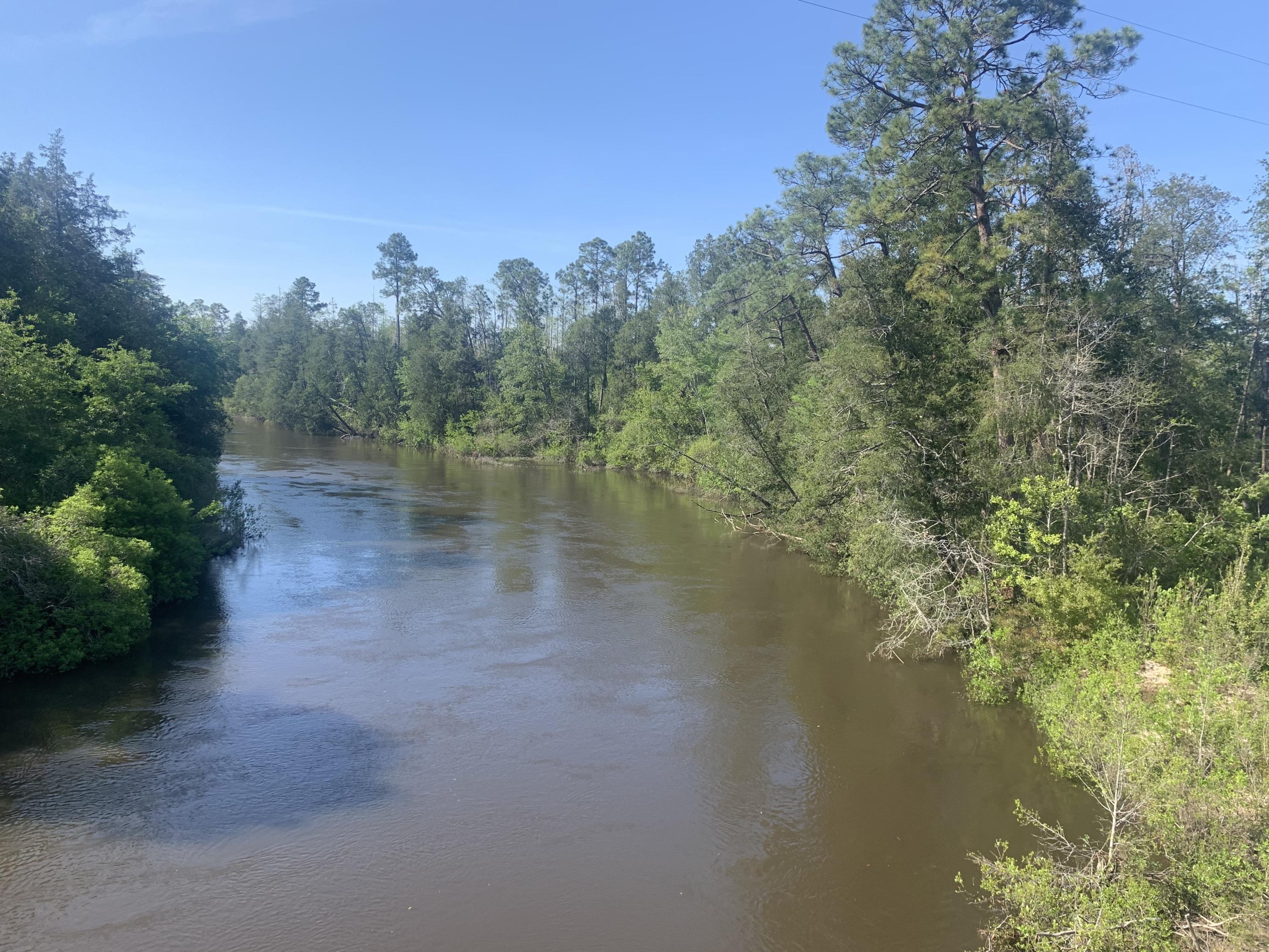 Bring your floor plans and hunting gear! Zoned agricultural with no HOA or restrictions. Hop on your horse and ride down to Blackwater for a fun day at the river. Showing by appointment only. The access management for Munson Highway requires driveways to be at least 660' apart. If this can't be done, you either have to share a driveway or apply for a variance.