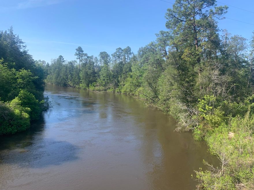 Bring your floor plans and hunting gear! Zoned agricultural with no HOA or restrictions. Hop on your horse and ride down to Blackwater for a fun day at the river. Showing by appointment only. The access management for Munson Highway requires driveways to be at least 660' apart. If this can't be done, you either have to share a driveway or apply for a variance.