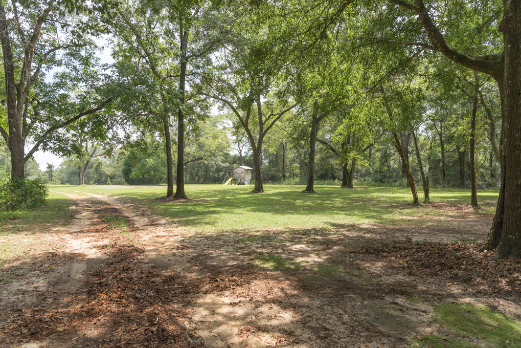 Along the Florida/Alabama Line - Residential