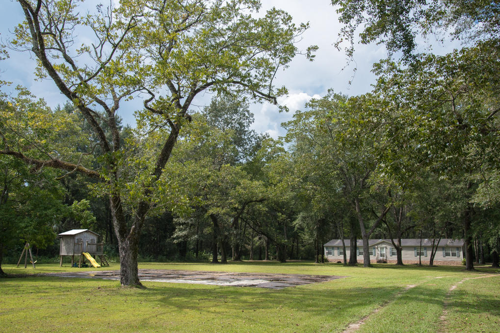 Along the Florida/Alabama Line - Residential