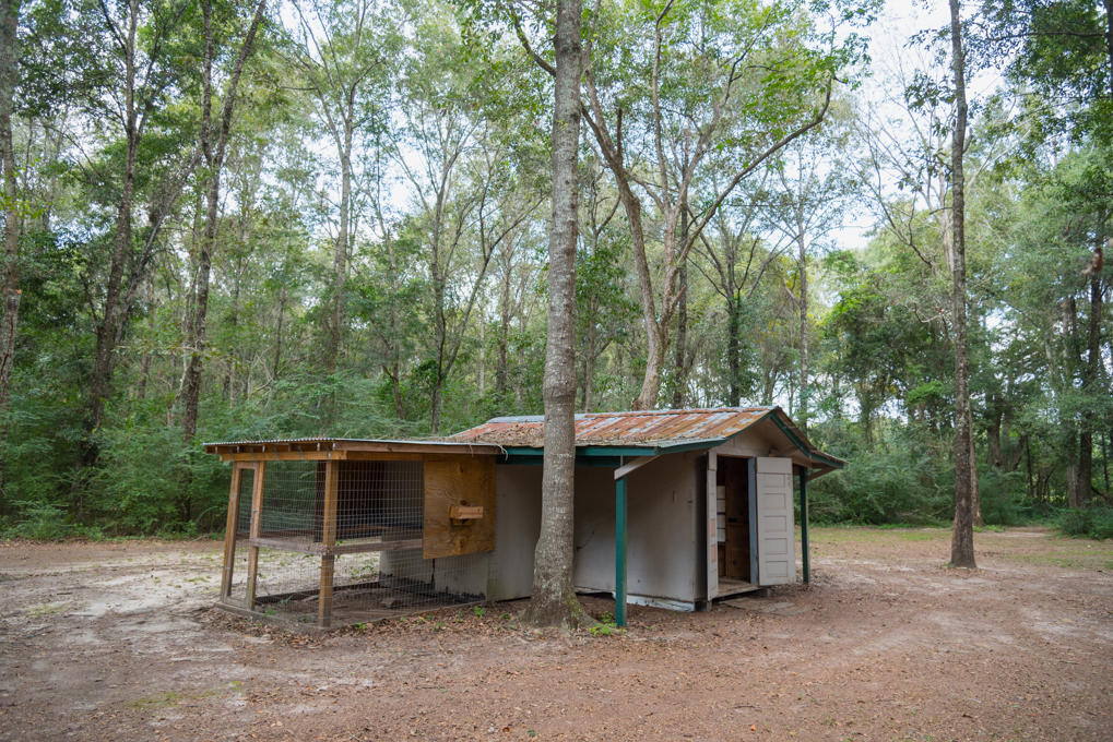 Along the Florida/Alabama Line - Residential