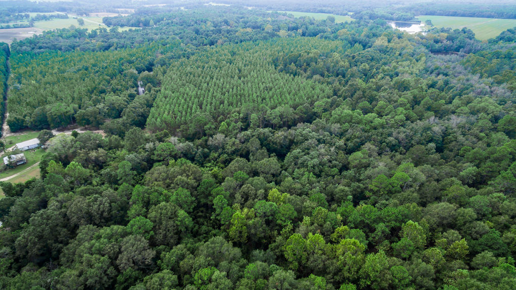 Along the Florida/Alabama Line - Residential