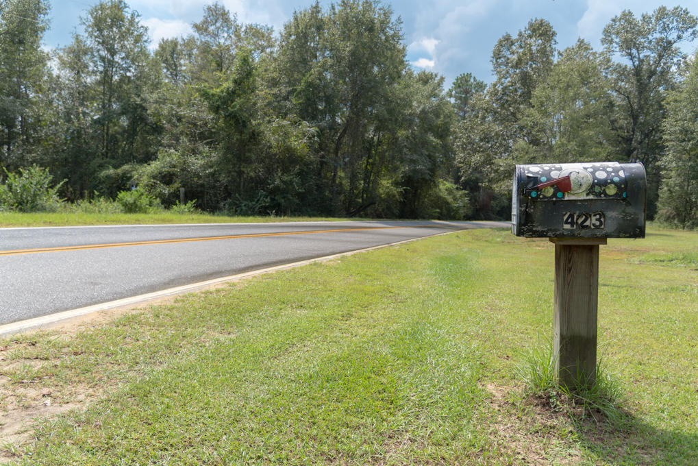 Along the Florida/Alabama Line - Residential