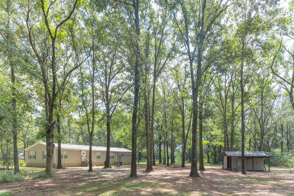 Along the Florida/Alabama Line - Residential