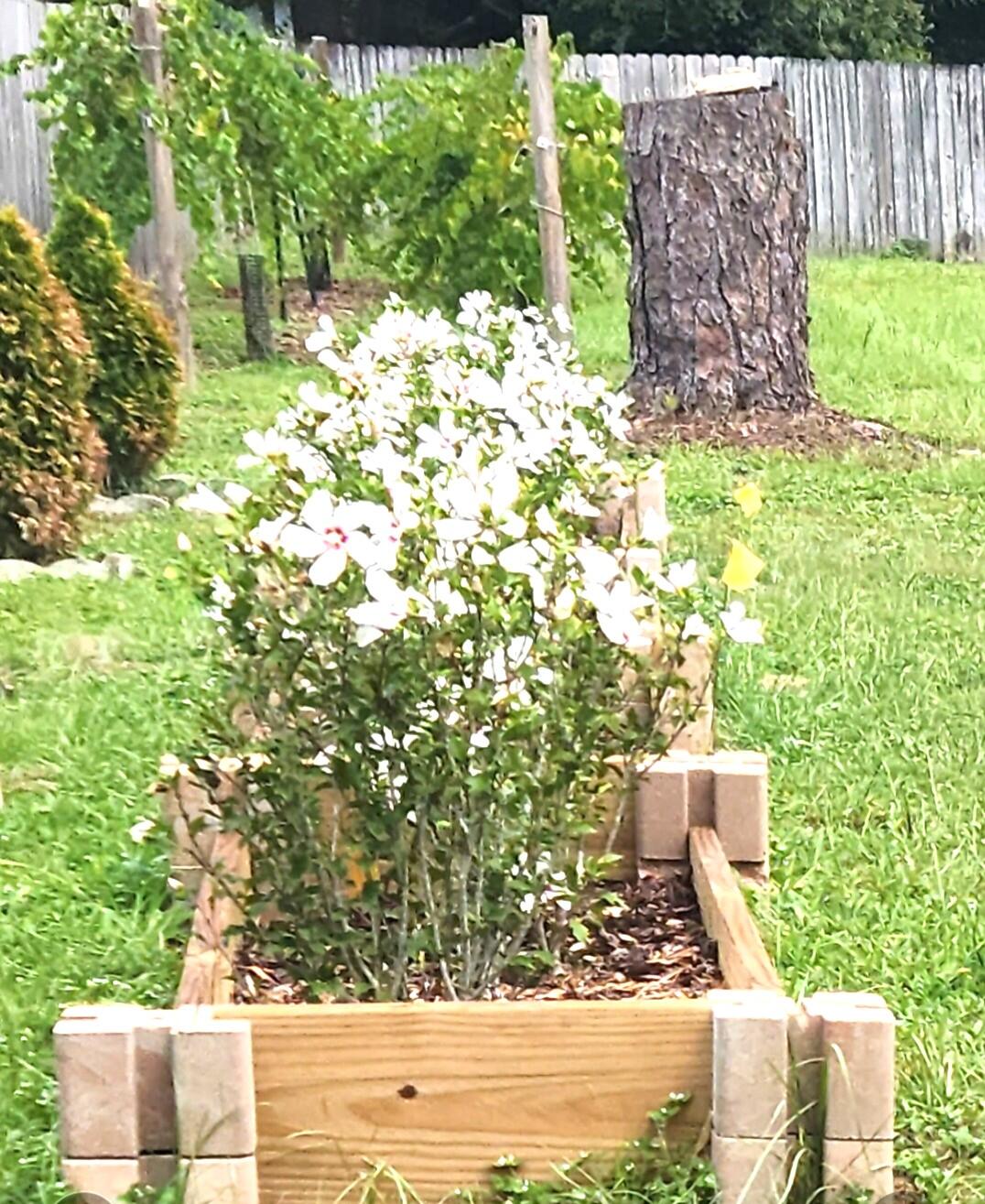 15-3N-23-0000-0060-008B - Land