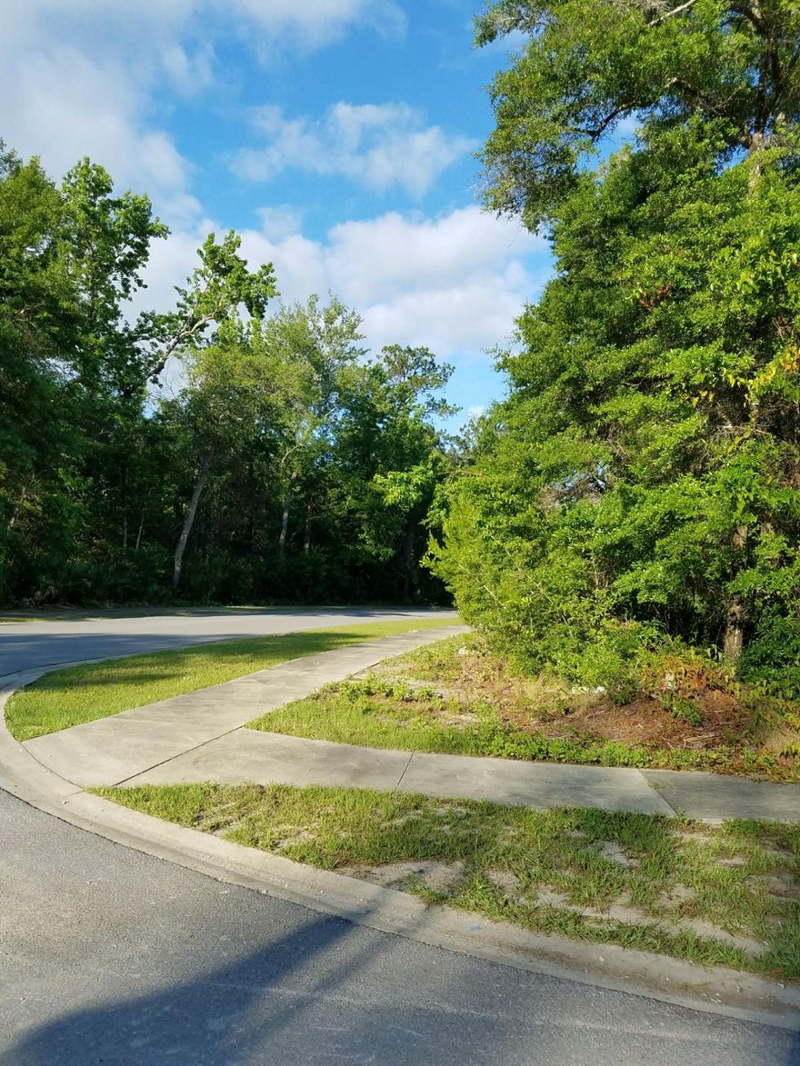 Great corner lot in established Marina Village PH1. Tap Fees for water/sewer have been paid on this lot. Close to the Regional Sports Complex, bike trail and the Freeport Marina. The marina provides a convenient boat launch, with wet and dry storage available, it is less than a 1/2 mile away from Lot 43 The marina is located on LaGrange Bayou with access to the Bay. Randy Wise is currently building in the subdivision but this lot gives you the opportunity to select your own builder. House plans must be reviewed and receive approval of the Architectural Review Board. Lot is in Flood Zone X.