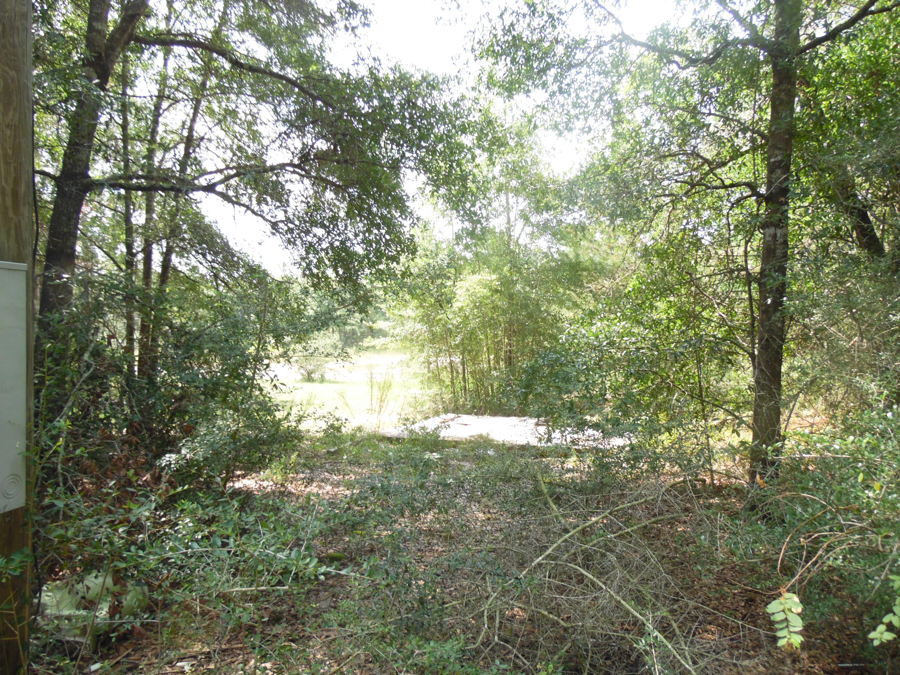 JUNIPER LAKE ESTATES - Residential
