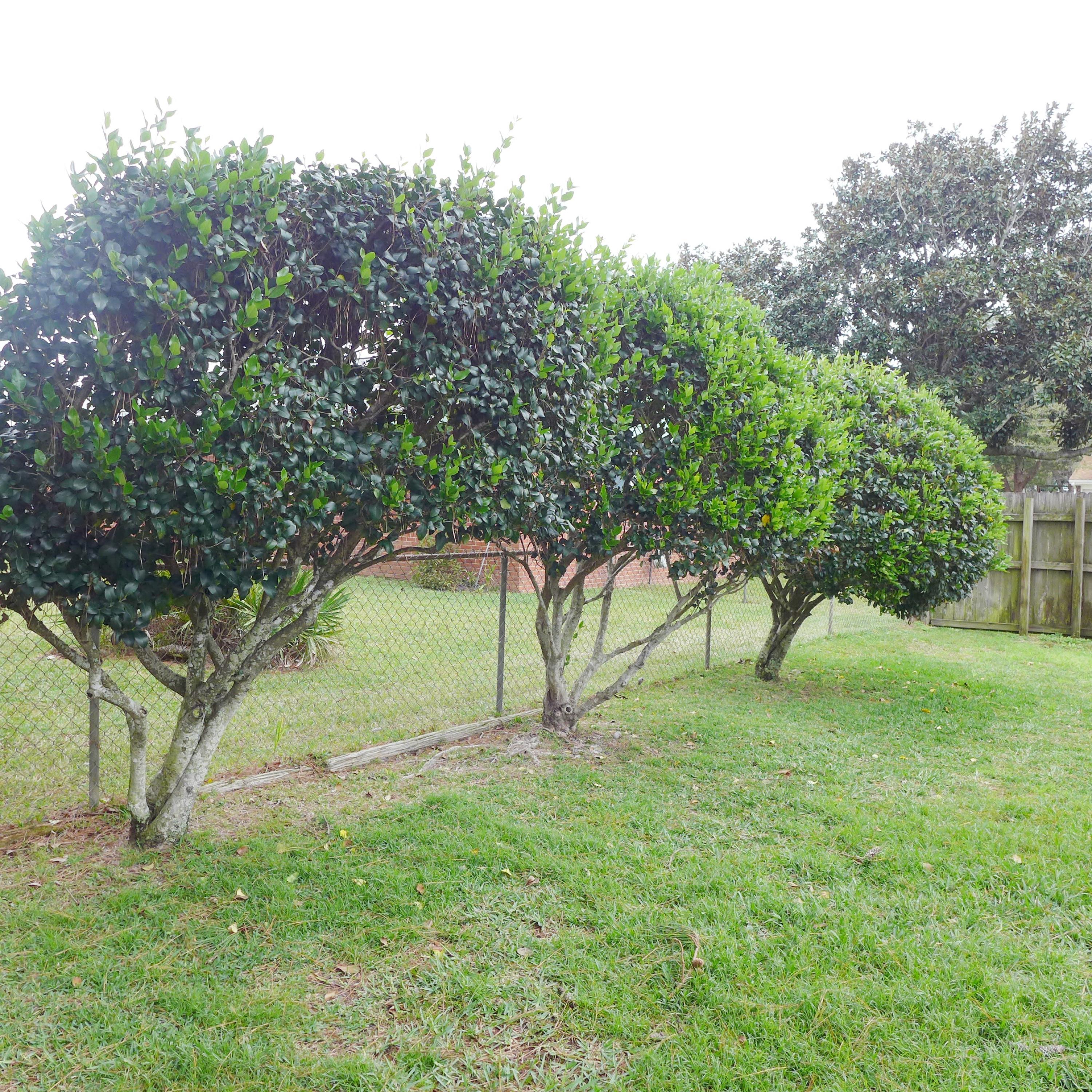 MUNICIPAL S/D 2ND ADDN - Residential