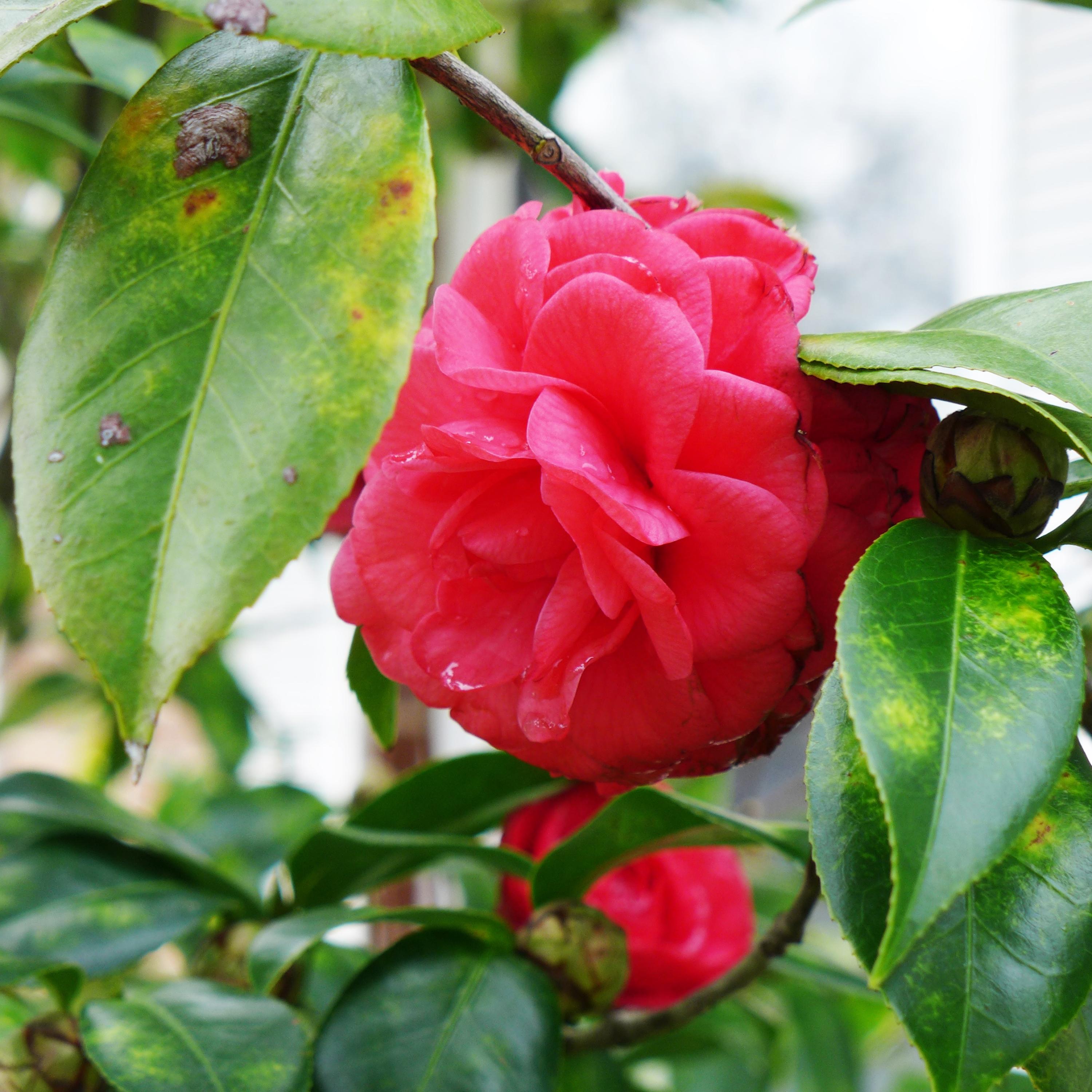 MUNICIPAL S/D 2ND ADDN - Residential