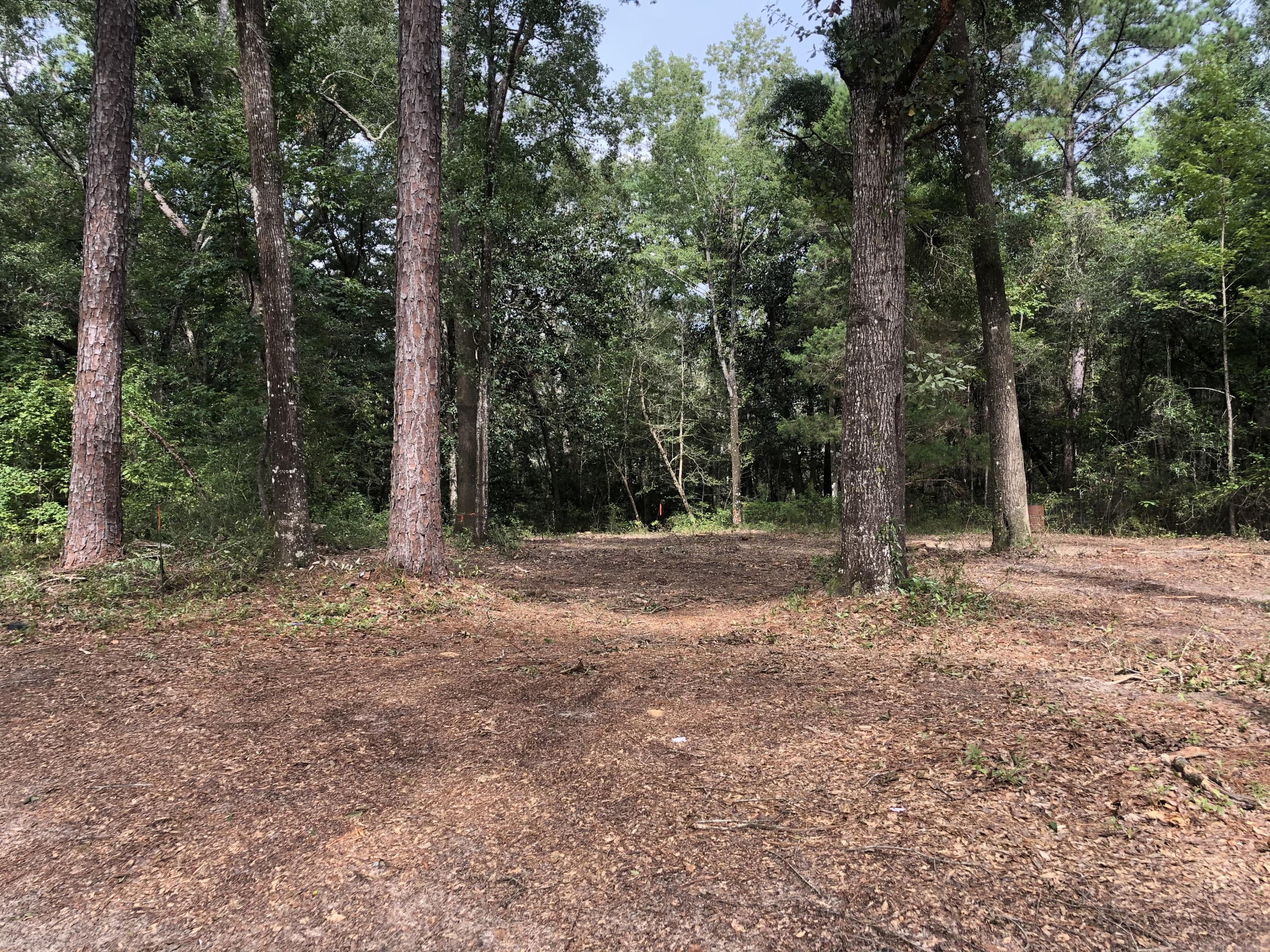 CHARLOTTE ESTATES - Land