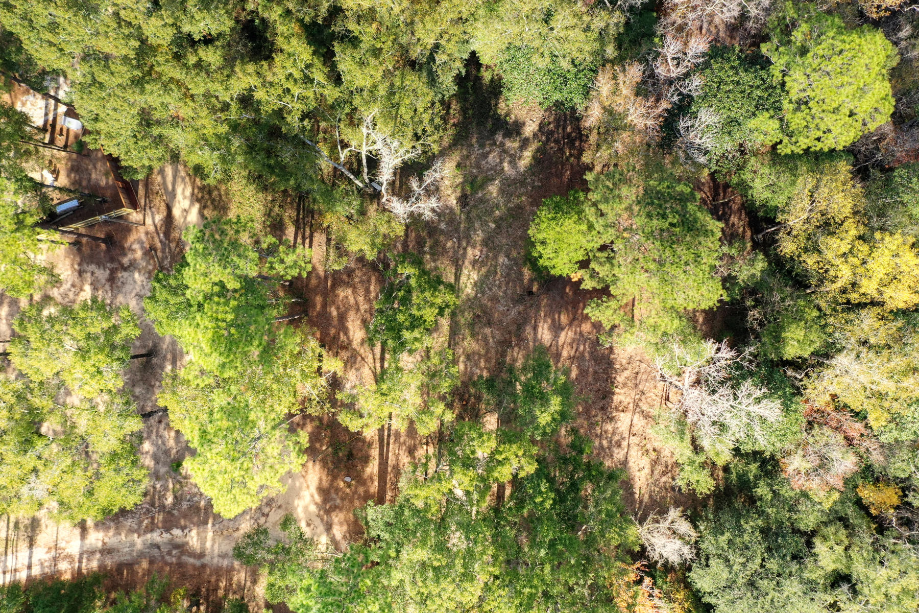 CHARLOTTE ESTATES - Land