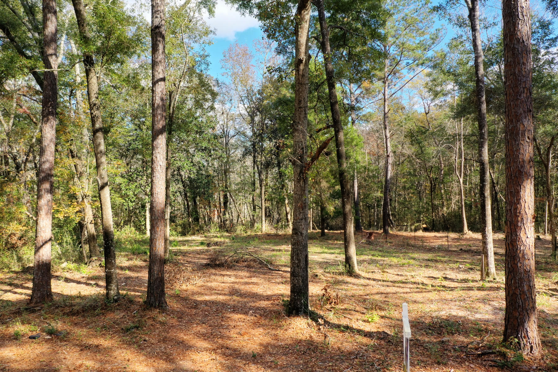Looking for the perfect Retreat! Look No Further! Fish, Hunt and Enjoy peaceful living on this gorgeous waterfront lot on beautiful the Black Creek. Lot is tucked away in a lovely little quaint community. No HOA or Fees! You have options to utilize the community private boat launch and dock or build your own dock for access to Black Creek for fishing, boating, or exploring. Only 2 miles downstream to the Choctawhatchee bay. Perfect for sciff boat! Property is centrally located providing a quick access to the stunning Gulf Coast Beaches of the Florida Emerald Coast (Destin's Crab & Okaloosa Islands, Santa Rosa Beach, Panama City Beach) and the Choctawhatchee Bay! Build your dream home or camp just minutes from the beautiful beaches of South Walton, Florida. Mobile Homes are allowed. There used to be a mobile home on this property. There is a power pole on the property, which power has been disconnected and no meter-can. Old septic was removed. There is water meter from the City of Freeport, which is currently capped. Owner pays approx. $7.00 month.
Portions of this lot is located in (2) two different floodzones. Floodzone X does not require flood insurance.
Floodzone: X - Minimal-Area of minimal flood hazard, usually depicted on FIRMs as above the 500-year flood level.
Floodzone: A - High- Areas subject to inundation by the 1-percent-annual-chance flood event generally determined using approximate methodologies. Because detailed hydraulic analyses have not been performed, no Base Flood Elevations (BFEs) or flood depths are shown. Mandatory flood insurance purchase requirements and floodplain management standards apply.
See Boundary and TOPO survey. Property is well marked with surveyer markings.
Included in the photos are pictures of the community private boat launch and the dock.
Information contained within this listing such as lot dimensions, flood zones, etc is deemed to be accurate but is not guaranteed. Buyer to verify all information.