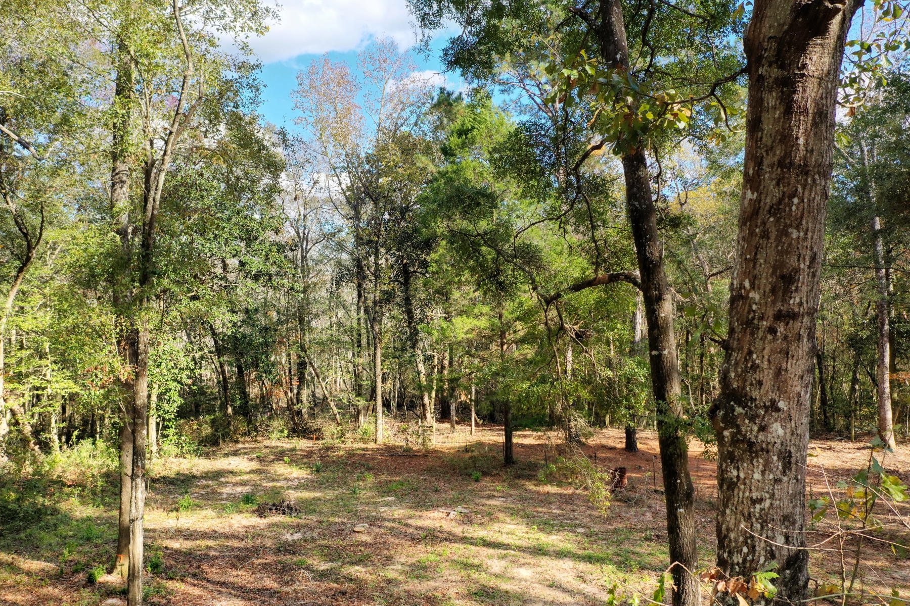 CHARLOTTE ESTATES - Land