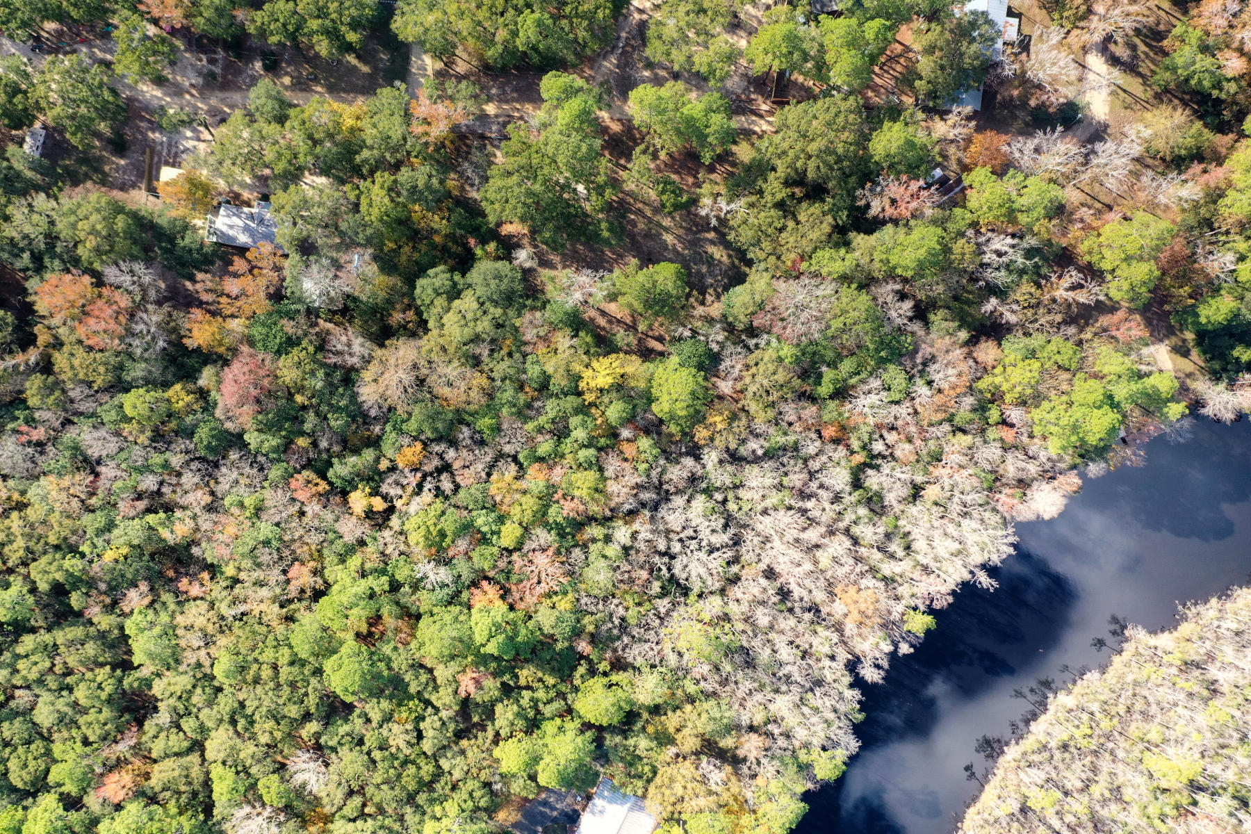 CHARLOTTE ESTATES - Land