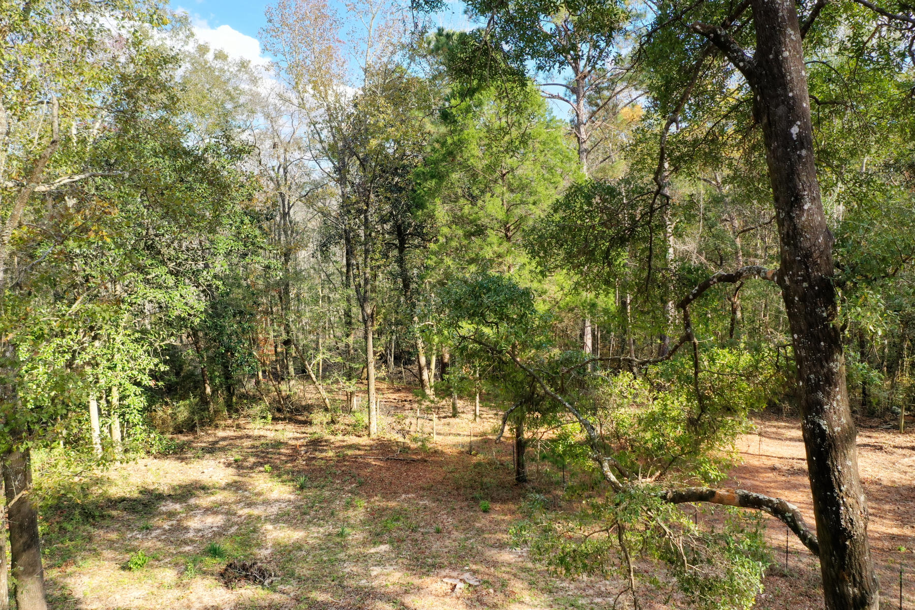 CHARLOTTE ESTATES - Land