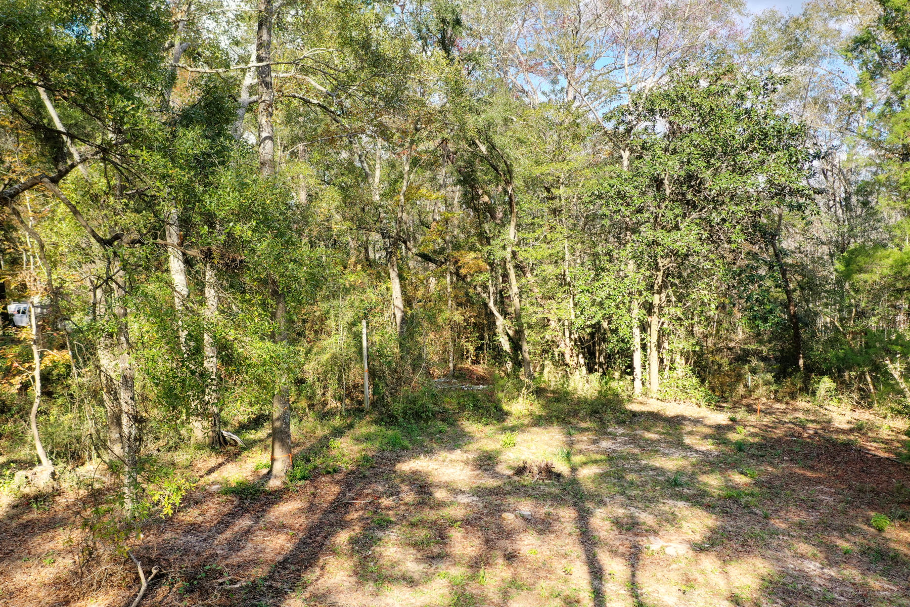 CHARLOTTE ESTATES - Land