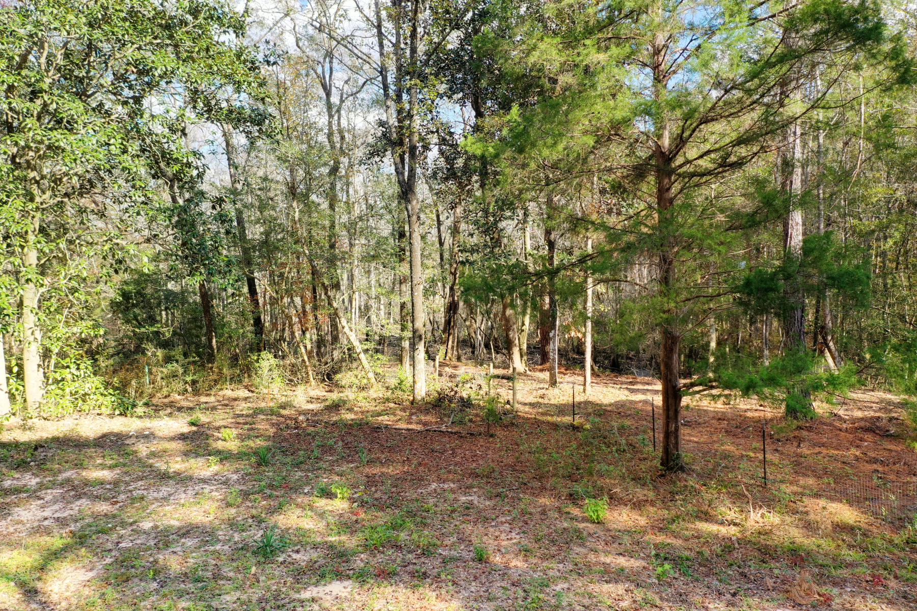 CHARLOTTE ESTATES - Land