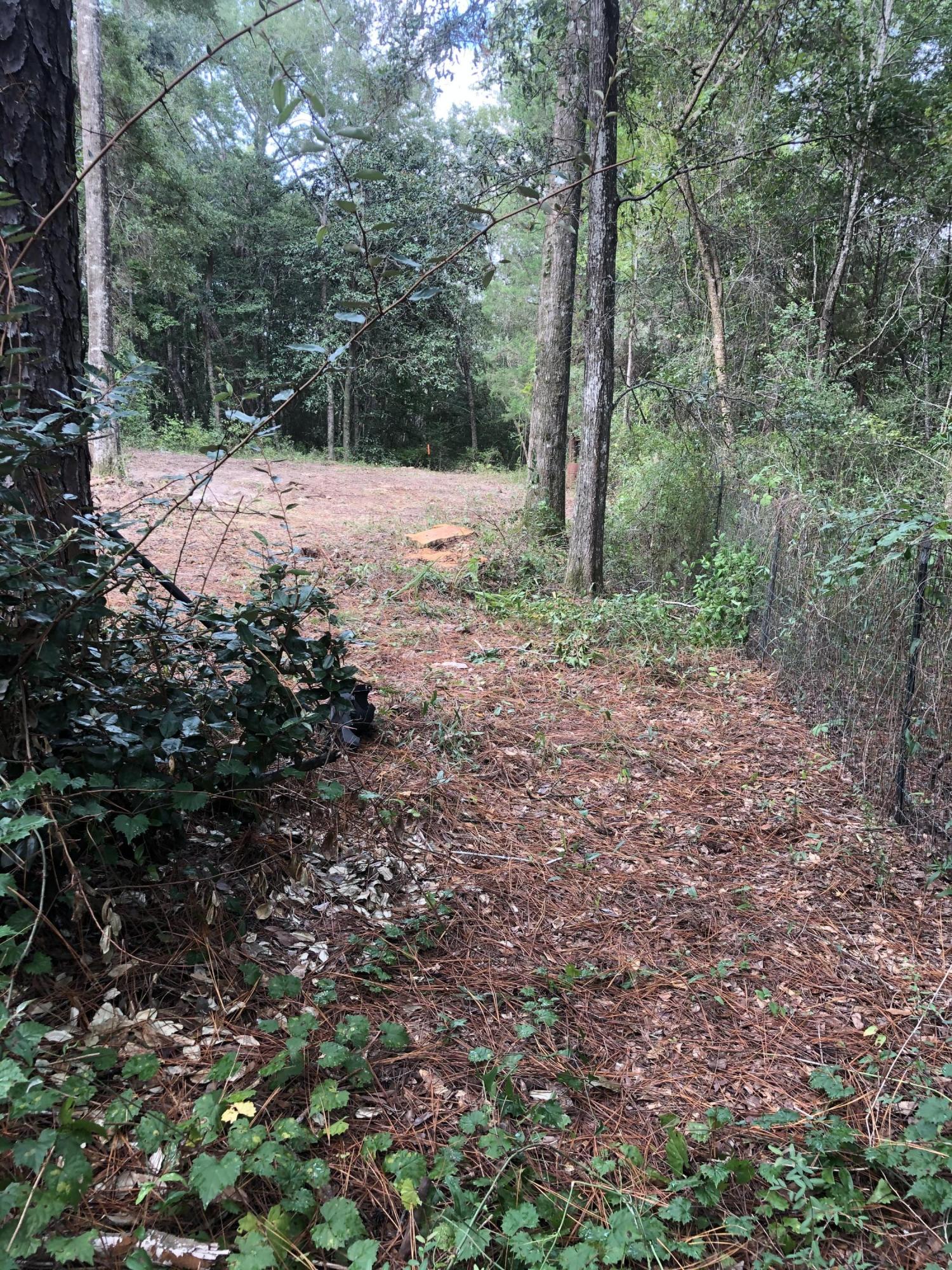 CHARLOTTE ESTATES - Land