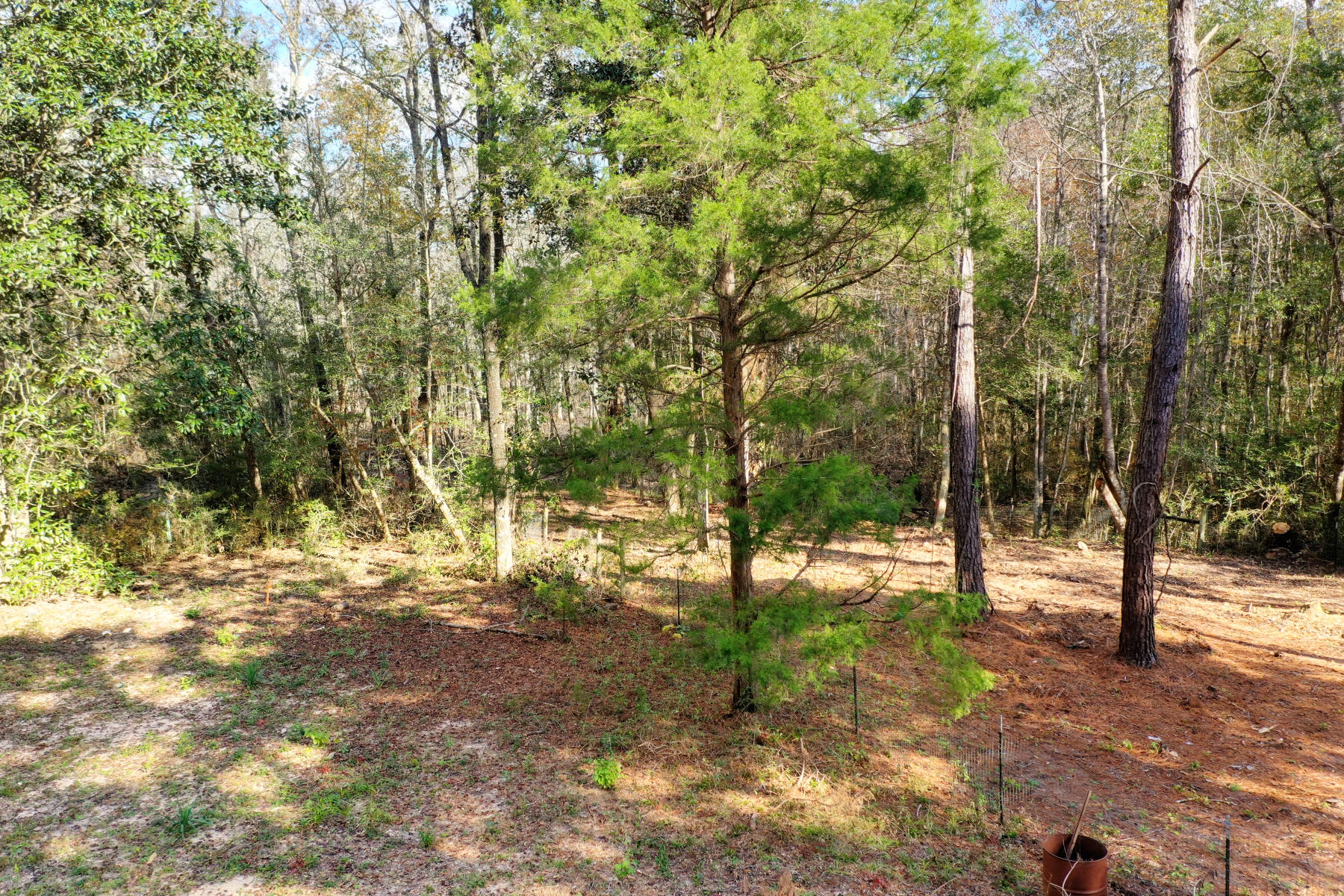 CHARLOTTE ESTATES - Land