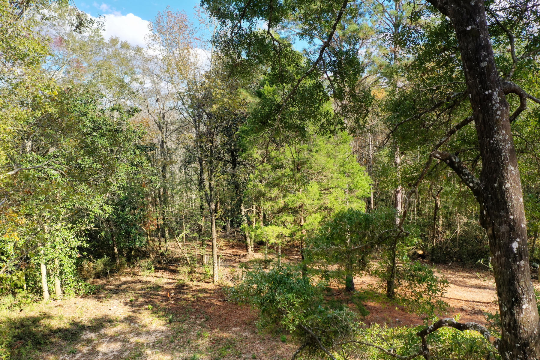 CHARLOTTE ESTATES - Land