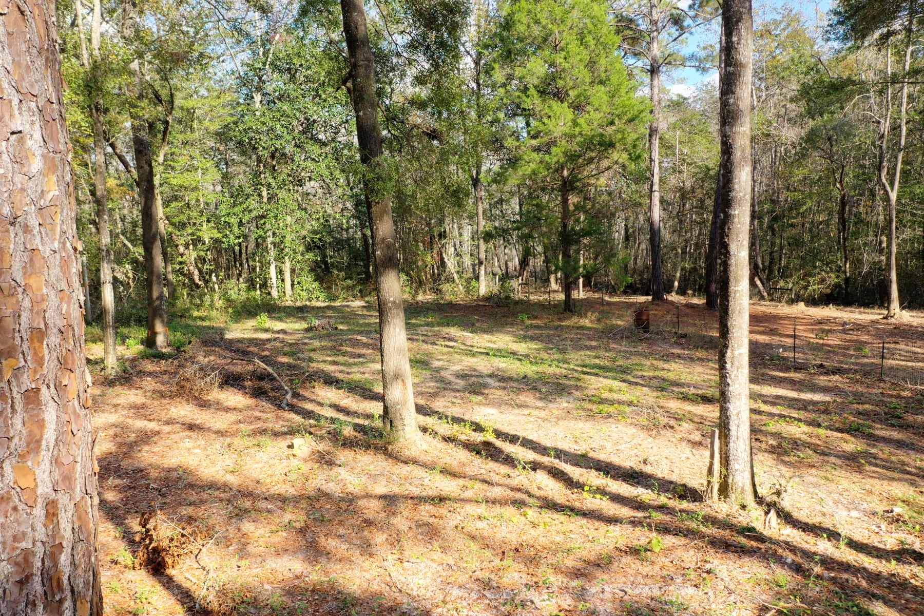 CHARLOTTE ESTATES - Land