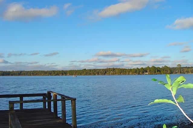 BEAUTIFUL WATERFRONT LOT ON LAKE JUNIPER AT A GREAT PRICE! Fantastic waterfront views on one of the best lakes in North Walton County. Great fishing for bass, bream and crappie. The State maintains this 620 acre lake and the dam, leaving you with hours of time for leisure fishing from the dock or on your boat. Very reasonable price for this lot which has 77 feet on the water. This property is being sold as is, where is. Build your dream home or bring a mobile. (Buyer is responsible at buyer expense for checking any building permit restrictions and intended use with Walton County Planning & Zoning office). No survey. There is a City water line at the street, but a tap fee would be due.