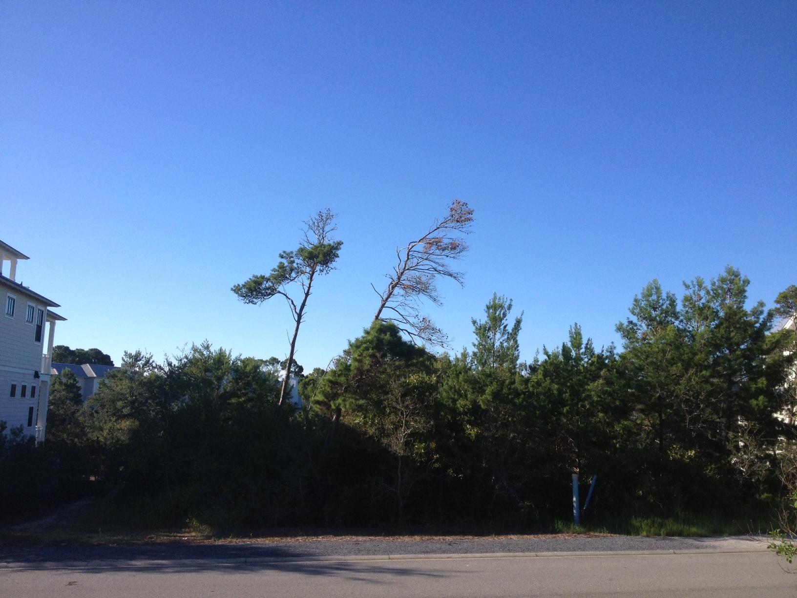 THE PRESERVE AT GRAYTON BEACH - Land
