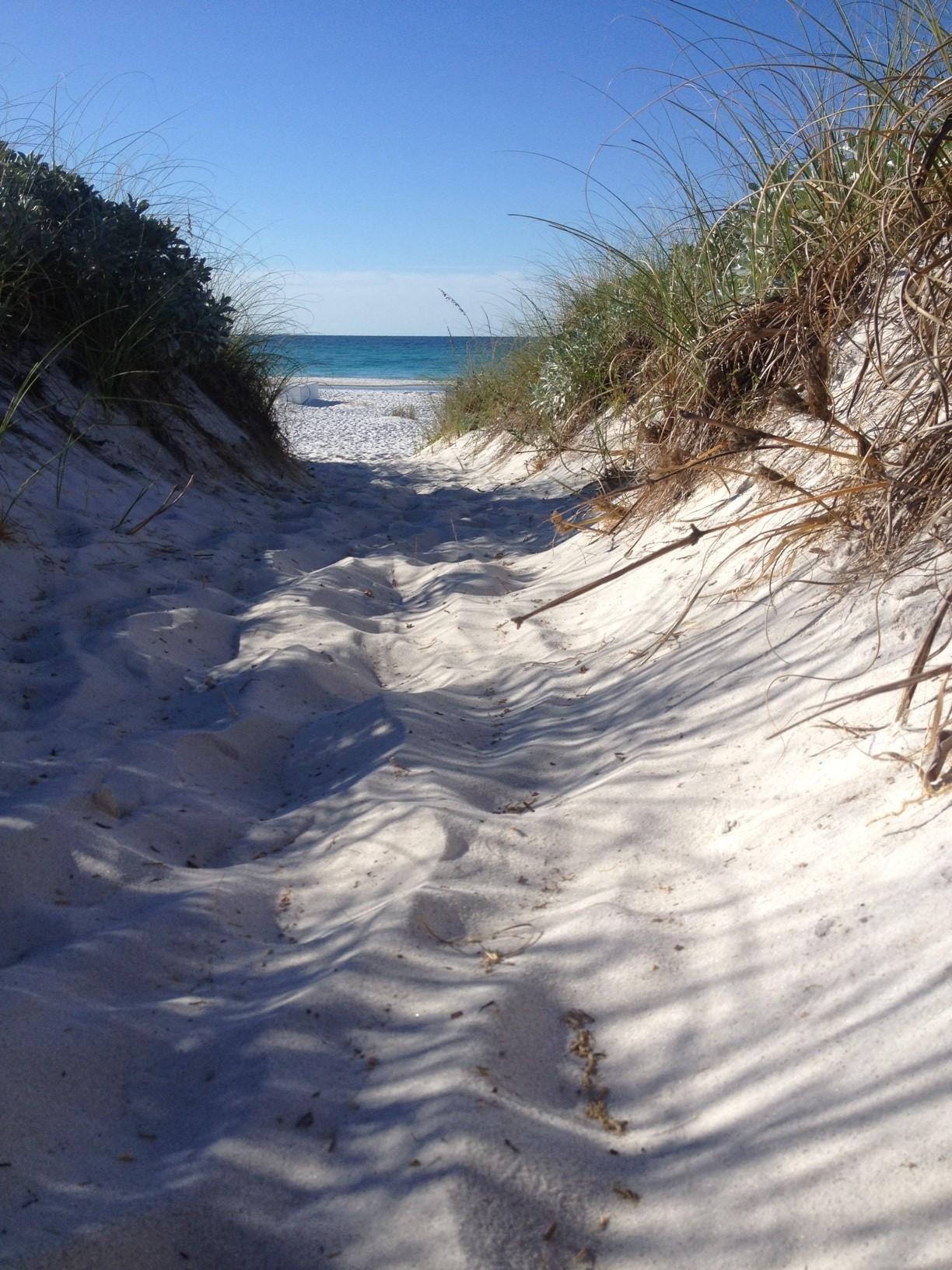 THE PRESERVE AT GRAYTON BEACH - Land
