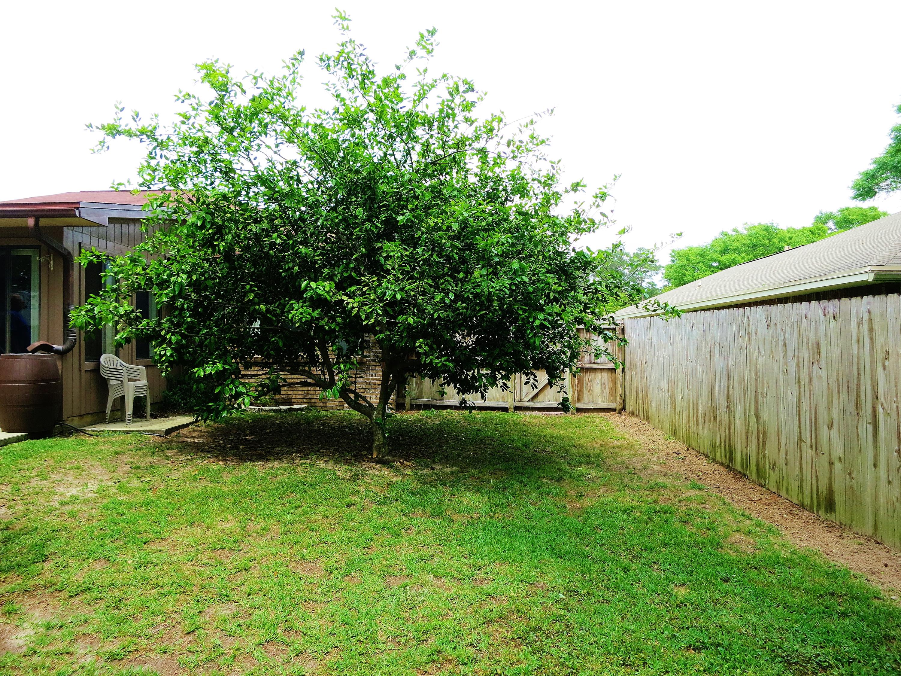 ROCKYWOOD PH IV - Residential