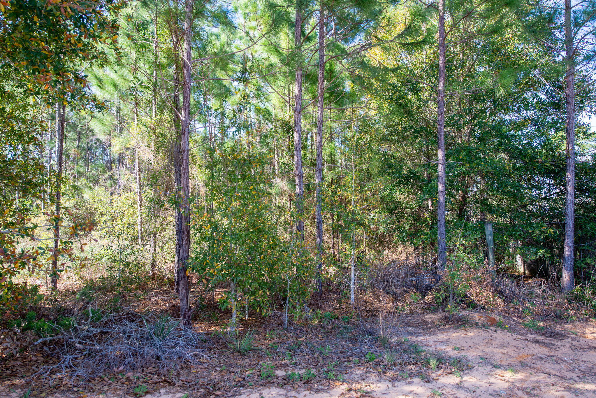 COUNTRY BREEZE ESTATES - Land