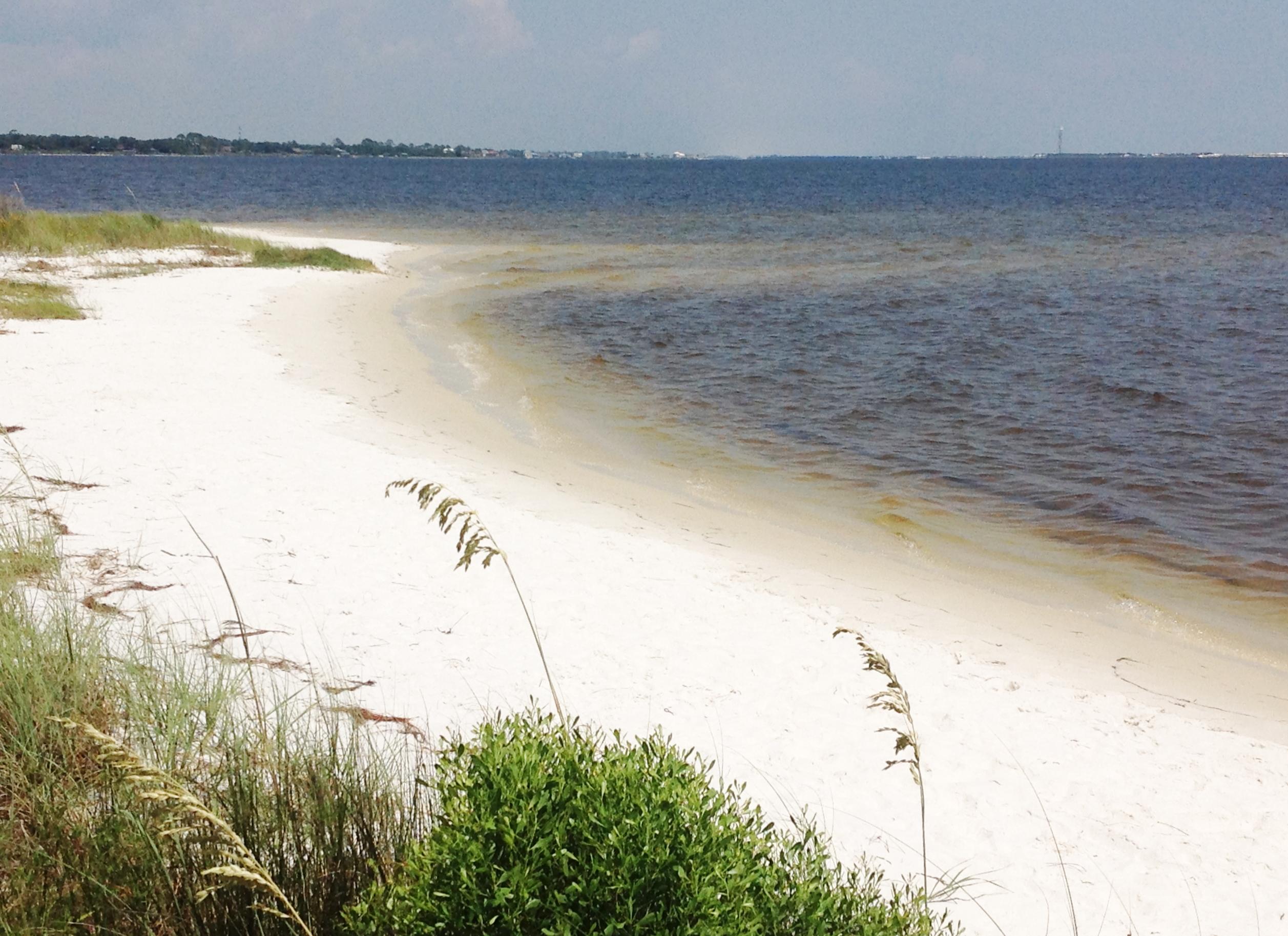 BISCAYNE POINTE - Land