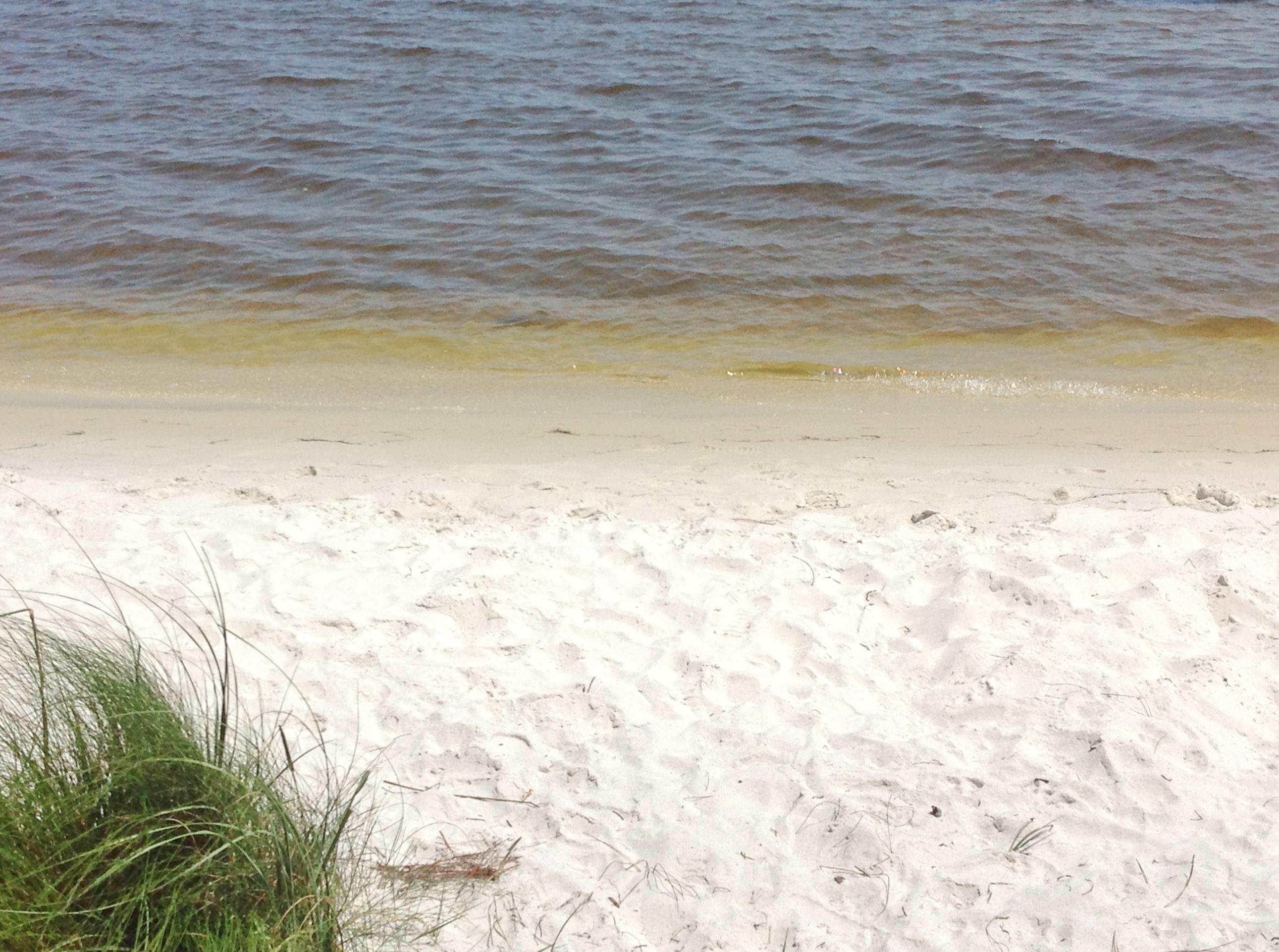 BISCAYNE POINTE - Land