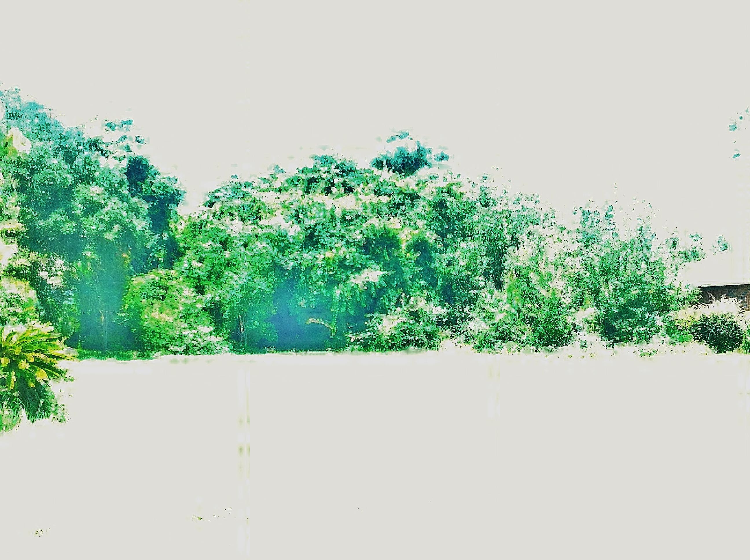 BISCAYNE POINTE - Land