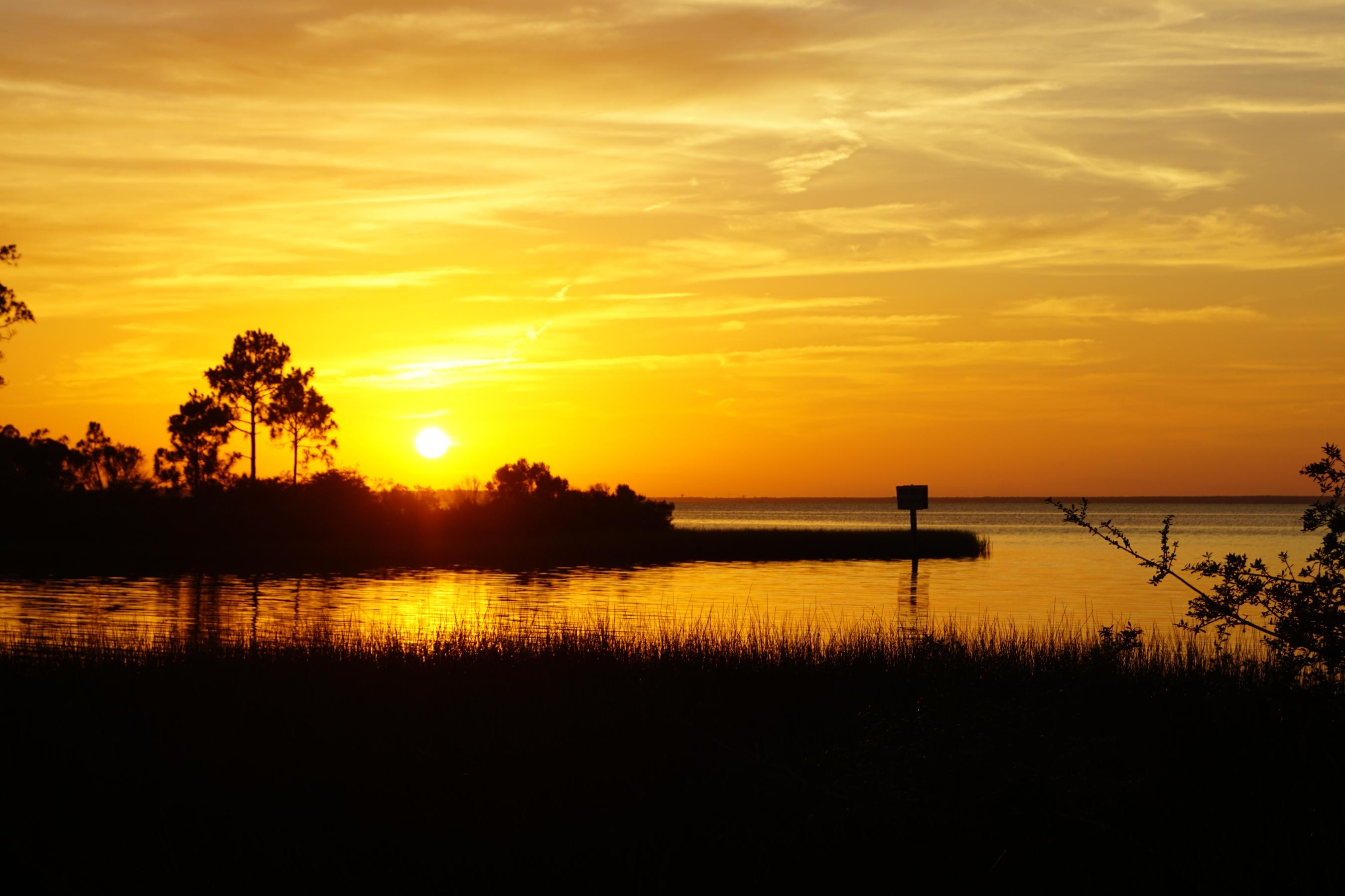 Bayou Life - Nature lover's paradise - close to a half an acre of bayou front property! This is the place where your waterfront dreams will come true. 50 feet on the bayou, you will appreciate this natural setting that is truly unique. Water is navigable with a small craft. Incredible tranquility, just the way life was meant to be! Buyer will be responsible for their own due diligence.