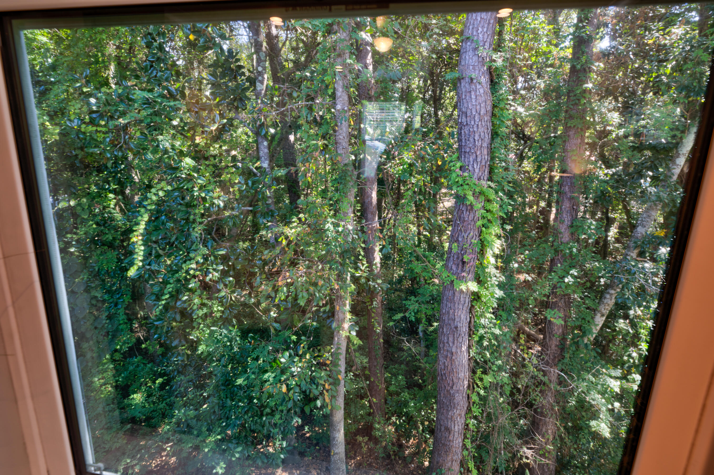 VALPARAISO PINECREST 5 - Residential