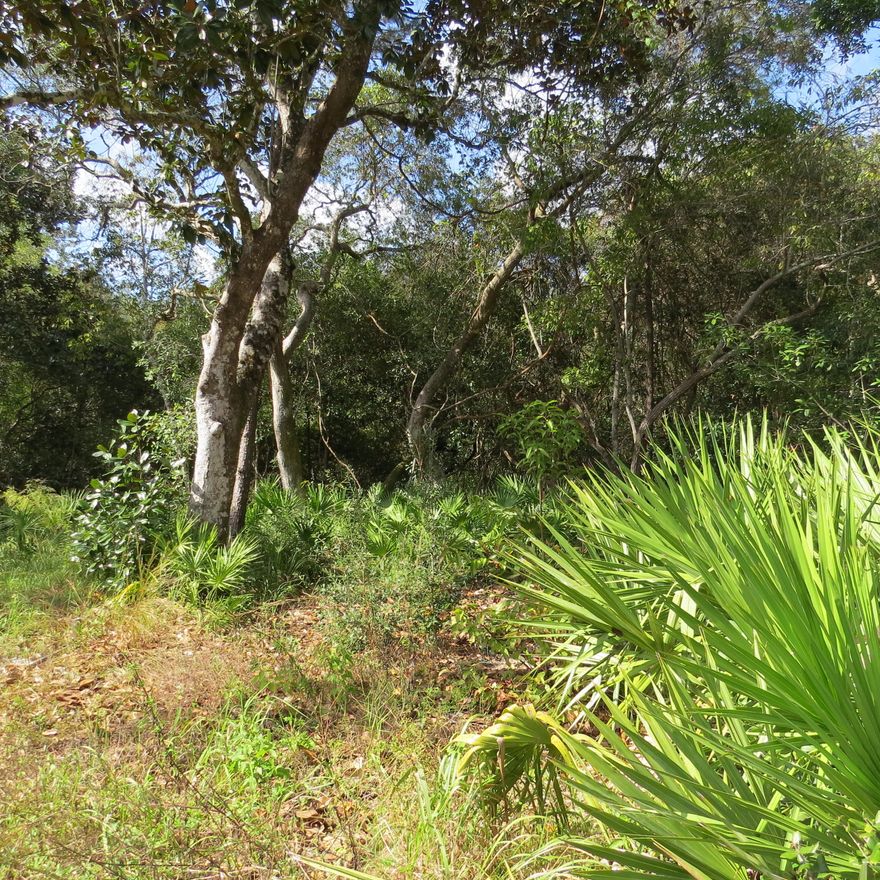 A fantastic opportunity to design and build a home! Vacant lot cleared and ready for construction. Tap fees paid. Only a mile to the bay and public boat launch. Enjoy the beach, restaurants and shopping in Seaside and 30A, only a short drive away!