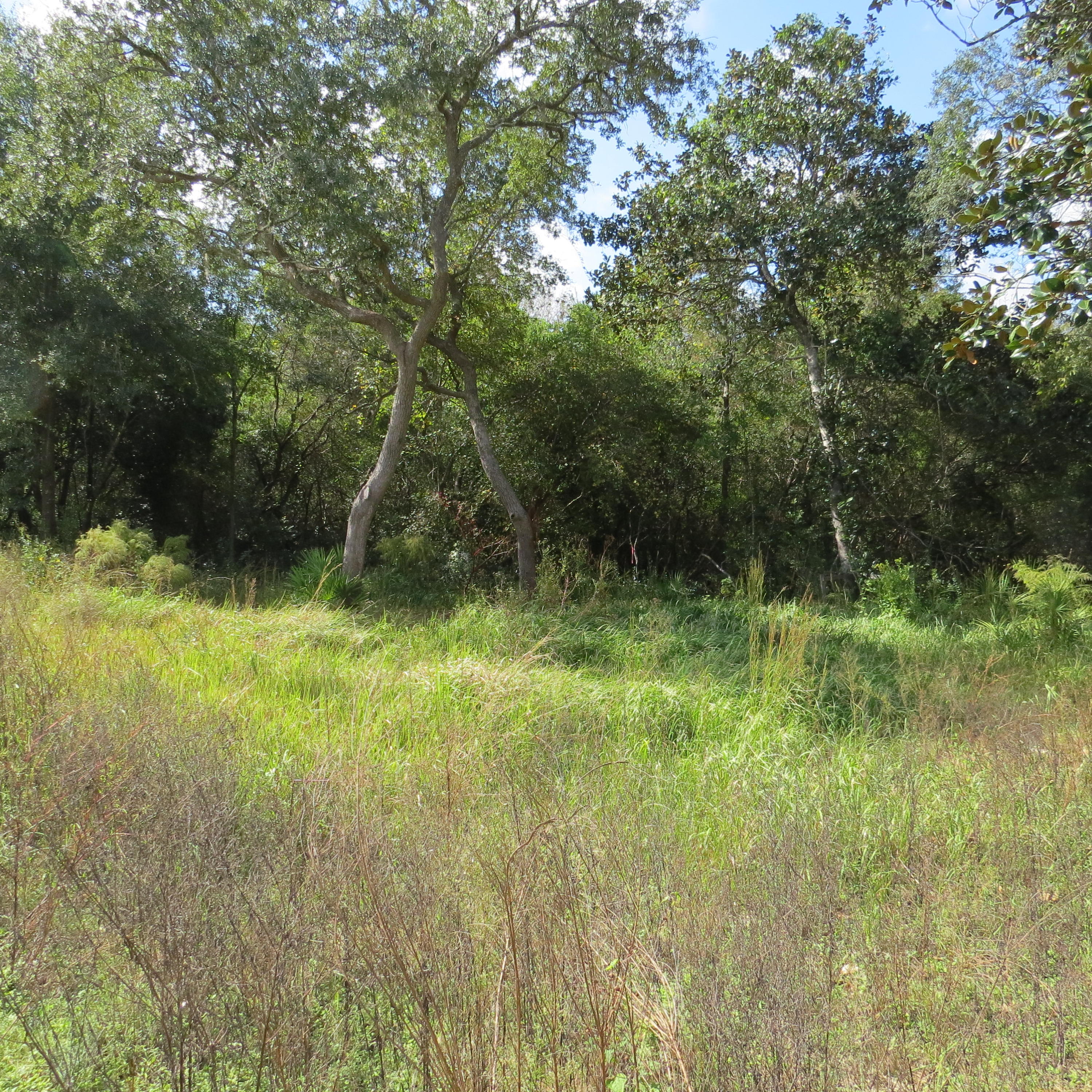 EDEN ESTATES UNREC - Land